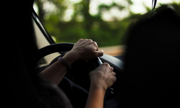 Jesu li tišina i samoća u autu novi način self-carea za mame?